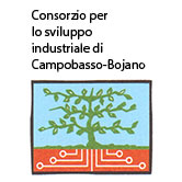 Consorzio per Lo Sviluppo Industriale di Campobasso-Boiano